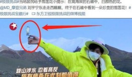 二宁最新爆料新闻事件,揭秘娱乐圈惊人内幕