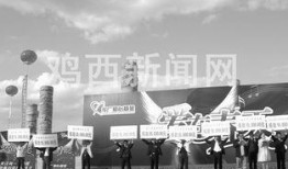 营口西市区新闻爆料,聚焦最新动态，共话发展新篇